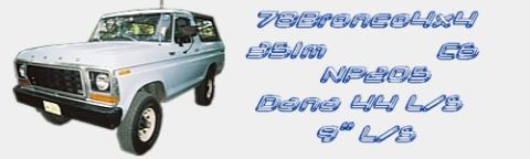 1978 Ford Bronco photo