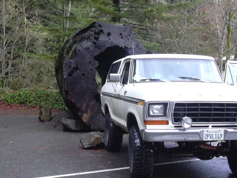1978 Ford Bronco photo