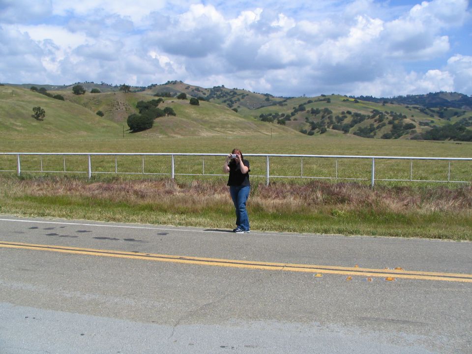 Person taking photo in rural landscape