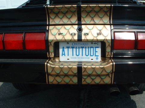 1978 Ford Mustang II - Customized rear of a black car gold scale graphics and racing stripes, with an Ontario license plate.