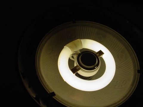 1998 Ford Crown Victoria - This is the bulb inside the Torch Lamp