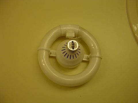 1998 Ford Crown Victoria - Here is another picture of that bulb taken out of the lamp. These bulbs work great in these type of lamps, they are not visable and the lig…