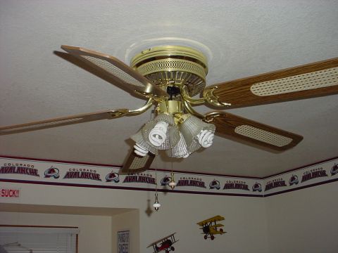 1998 Ford Crown Victoria - Alot of folks now a days like to use the CF bulbs in their celing fans. The bulbs may look a little strange if you use the sprial type like…