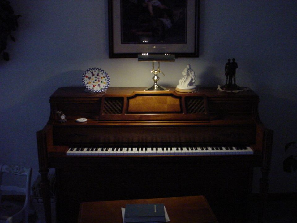 Heres an example of where one of the thin long fluorescent bulbs as pictured above would work well, this piano light has good crips colors.