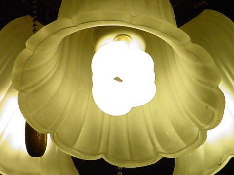 1998 Ford Crown Victoria - here is a picture of one of those small bulbs in my celing fan