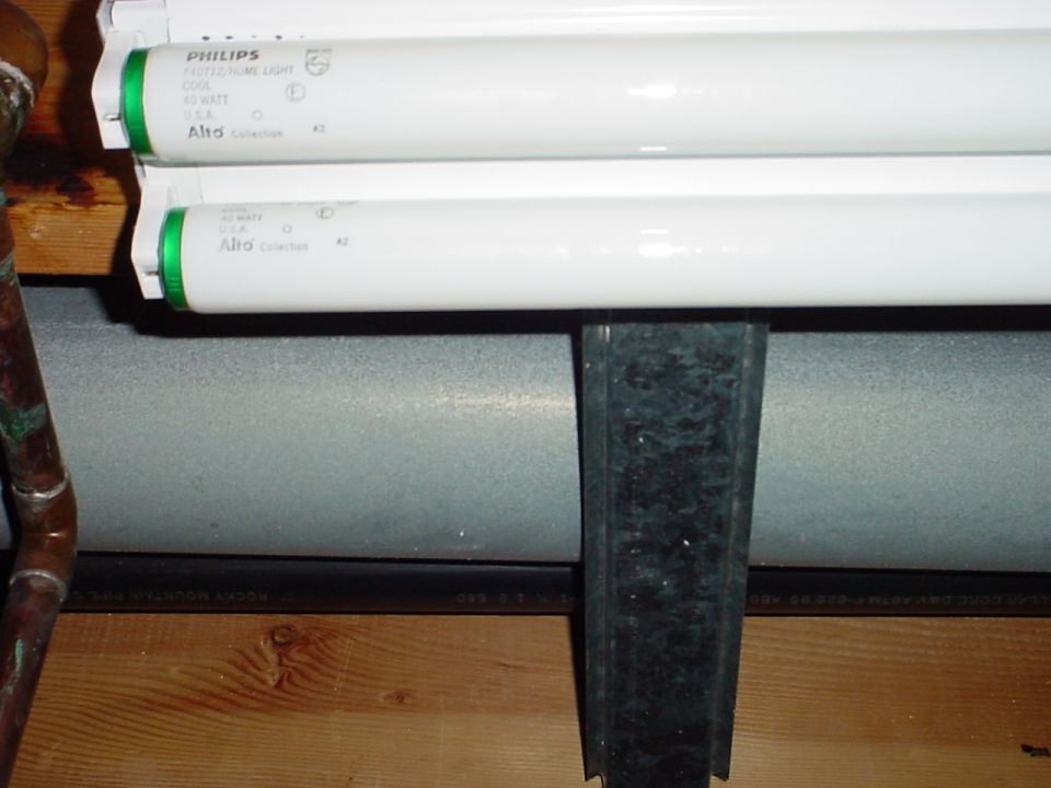 These bulbs are T-12 bulbs, notice how they are larger then the T-8s.  Never use a T-8 bulb in a T-12 fixture.  It will overheat the ballast causing failure or even fire.