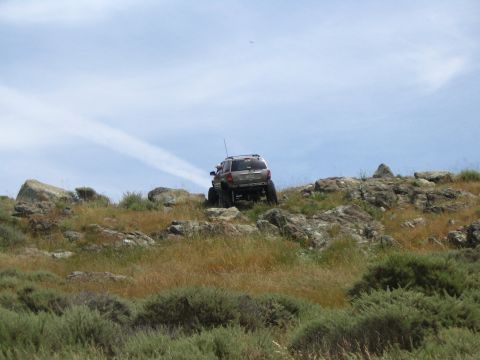 1993 Toyota 4Runner “Party Wagon”
