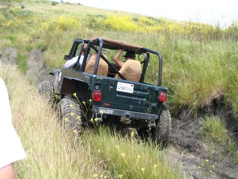 1993 Toyota 4Runner “Party Wagon”
