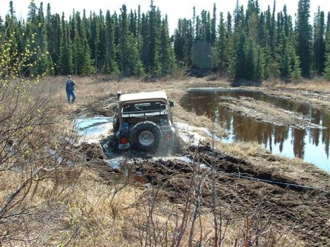 2000 Jeep TJ - Al in the bog