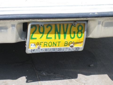 1985 Ford Mustang - License plate reads '292NVG8' and 'FRONT BC' with a humorous frame.