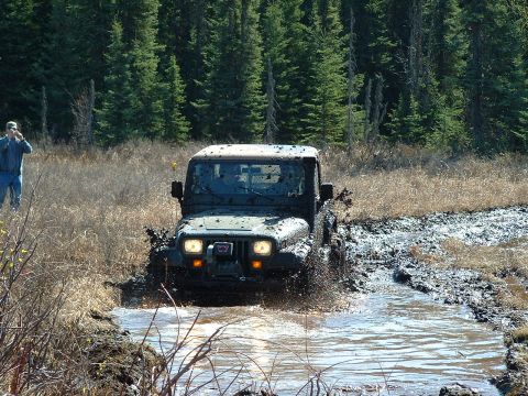 2000 Jeep TJ - A Jeep Wrangler navigates a challenging muddy path surrounded by tall grass and dense forest.