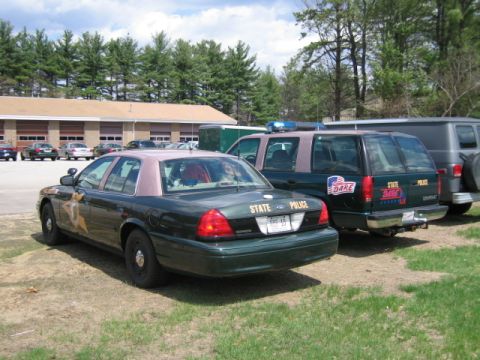 1991 Ford LTD Crown Victoria - A dark green Ford Crown Victoria police car with a pink roof is parked next to other vehicles.