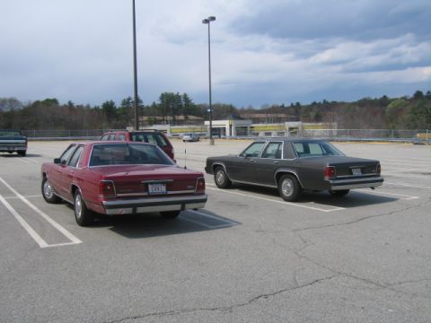 1991 Ford LTD Crown Victoria - Two Ford Crown Victorias are parked in a lot under a cloudy sky. One is red and the other is dark gray.