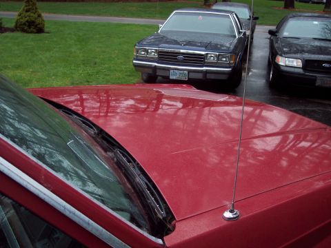 2001 Ford Crown Victoria - Foreground red car hood and windshield with two Ford Crown Victorias parked behind it.