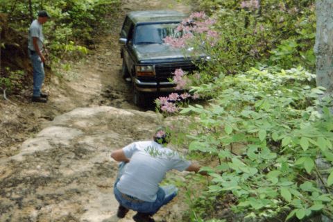 1988 Ford Bronco - A dark SUV is seen on a challenging off-road trail surrounded by trees and foliage.
