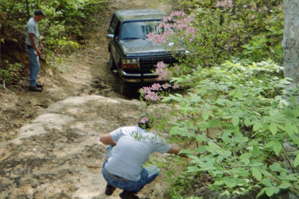 Dark SUV navigating a rocky, wooded trail