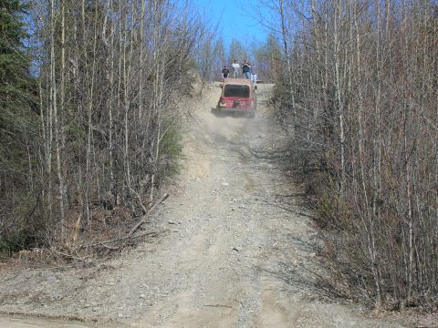 2003 Jeep TJ - A red Jeep Wrangler navigates a dusty incline on a wooded trail.