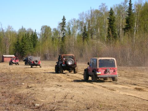 2003 Jeep TJ - A convoy of Jeep Wranglers navigates a dusty trail through a forest clearing.