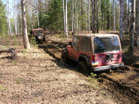 2003 Jeep TJ - Two Jeeps are stuck in the mud while off-roading in a wooded area.