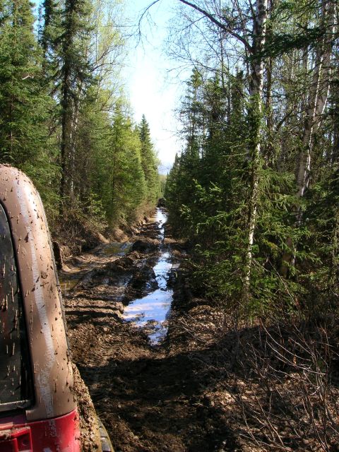 2003 Jeep TJ - Navigating a challenging, water-filled muddy track through a dense forest.
