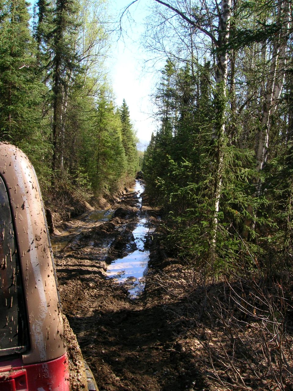 Red vehicle's front fender covered in mud, looking down a very muddy and rutted forest trail with puddles