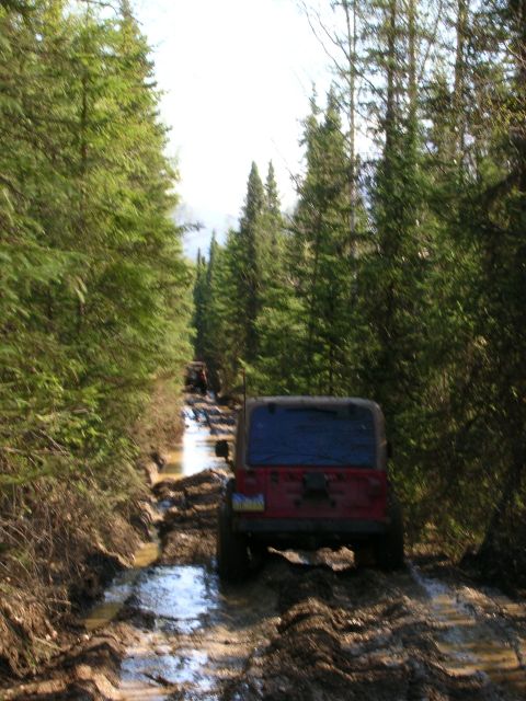 2003 Jeep TJ - A red Jeep Wrangler navigates a challenging muddy path through a dense forest.