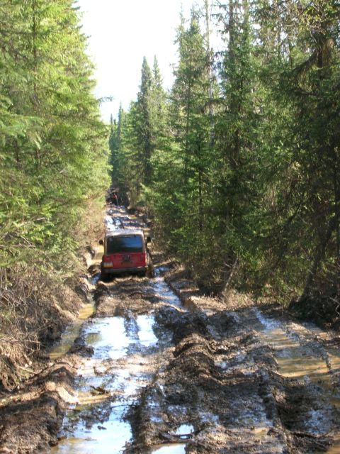 2003 Jeep TJ - A red 2003 Jeep TJ struggles through a muddy, rutted forest track, with another vehicle visible further ahead.