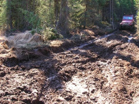 2003 Jeep TJ - A red Jeep Wrangler navigates a deeply rutted and muddy forest path.