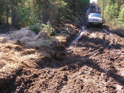 2003 Jeep TJ - Multiple vehicles navigate a challenging muddy path through a dense forest.