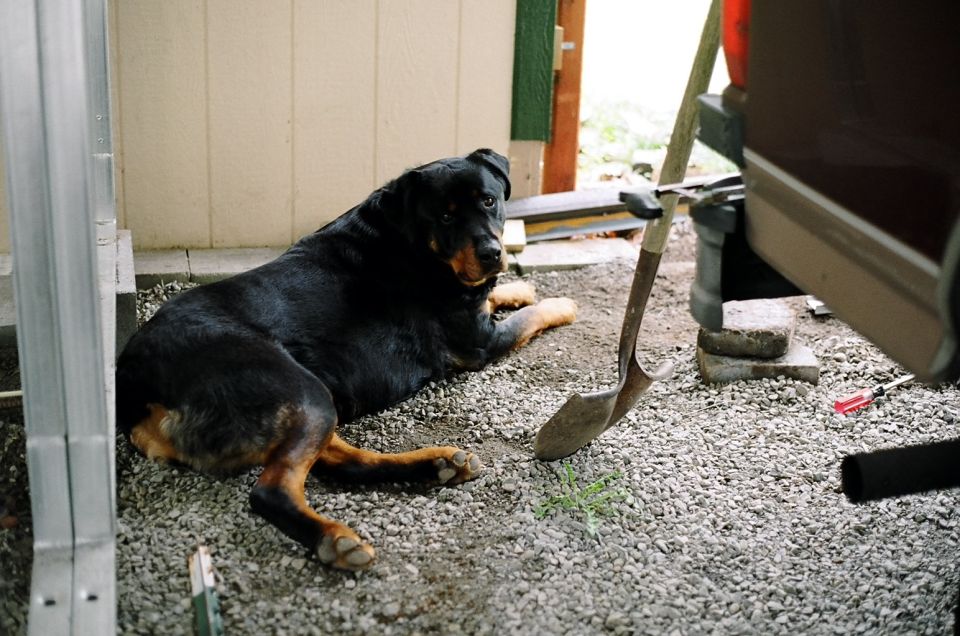Call in the supervisor.
