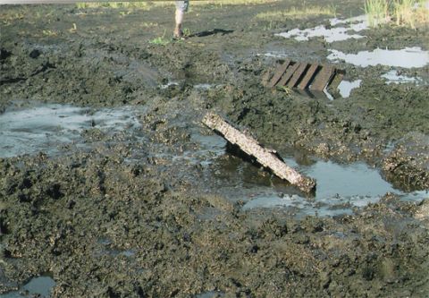 1992 Ford Bronco - A muddy field with debris and a person in the background. The Supermotors logo is visible in the lower right corner.
