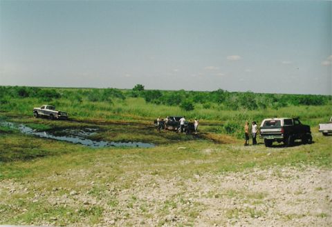 1992 Ford Bronco - Multiple vehicles are stuck in a muddy area, with people attempting to free them.