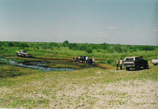 1992 Ford Bronco in mud, with other trucks nearby