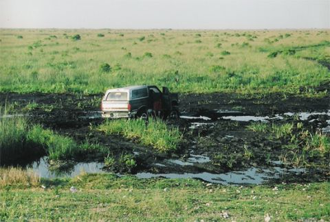 1992 Ford Bronco - A 1992 Ford Bronco is stuck in a muddy field with tall grass surrounding it.