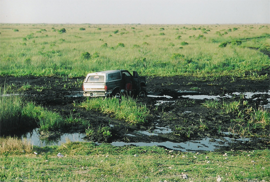 1992 Ford Bronco stuck in mud, rear 3/4 view