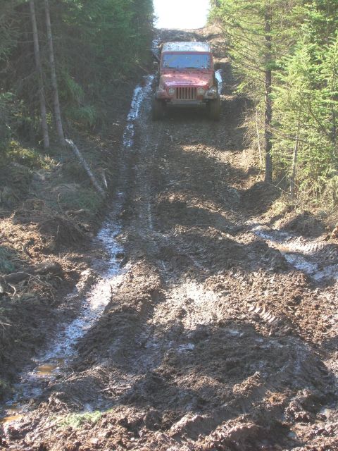 2003 Jeep TJ - A red Jeep Wrangler navigates a challenging, muddy incline through a wooded area.