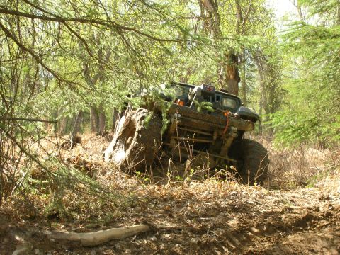 2003 Jeep TJ - An off-road vehicle navigates a muddy, wooded path.