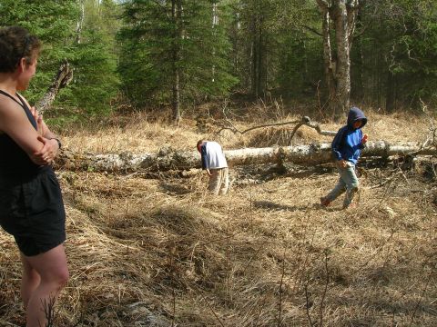 2003 Jeep TJ - A group of people explore a wooded area with dry grass and a fallen tree.