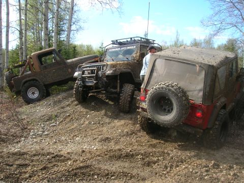 2003 Jeep TJ - Multiple Jeeps navigate a muddy off-road trail surrounded by trees.