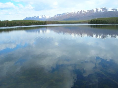 2003 Jeep TJ - A vast lake mirrors the sky and distant, snow-dusted mountains, bordered by a dense forest.