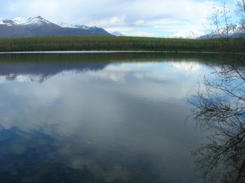 2003 Jeep TJ - A landscape features a calm lake mirroring snow-capped mountains and a dense treeline under a partly cloudy sky.