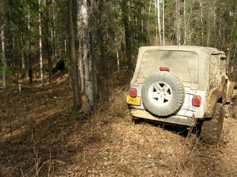 2003 Jeep TJ - A silver Jeep Wrangler is seen from the rear in a wooded area. The license plate is visible.