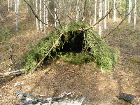 2003 Jeep TJ - A makeshift shelter constructed from natural materials in a wooded area, with evidence of a campfire nearby.