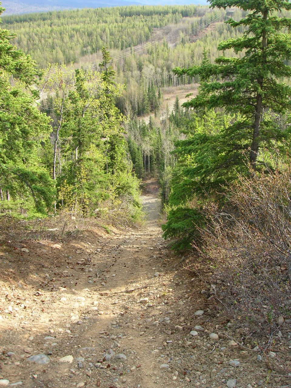 Dirt road descending through a forest with trees on either side and a valley in the background