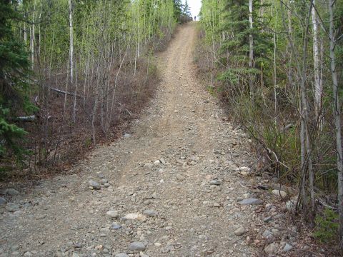 2003 Jeep TJ - A rough, uphill gravel road winds through a dense forest, with sparse vegetation lining the path.