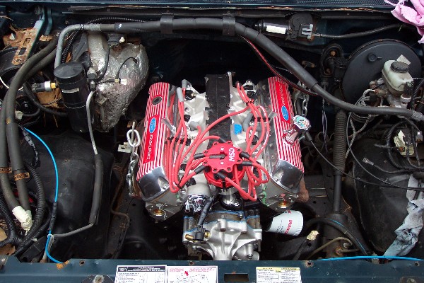 Engine bay with Ford V8, red finned valve covers, red plug wires and MSD distributor cap