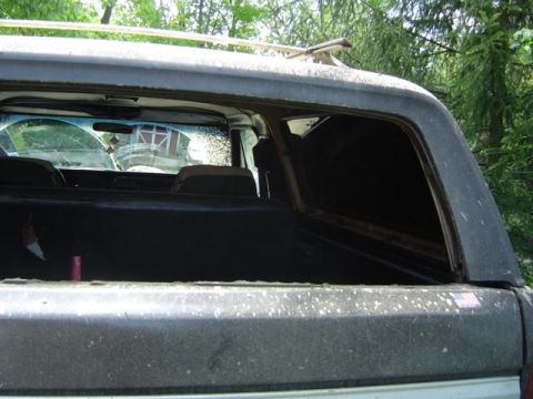 1979 Ford Bronco - The rear interior of a 1979 Ford Bronco, with seats and cargo space visible, and another vehicle reflected in the rear window.