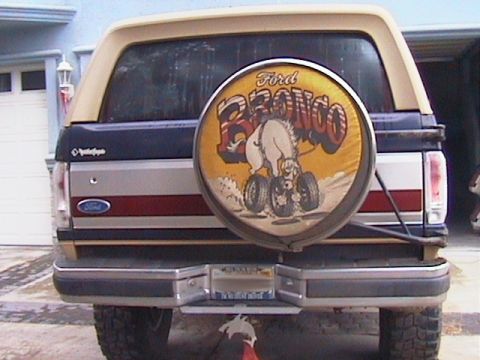 1991 Ford Bronco - 1991 Ford Bronco rear view a spare tire cover with a cartoon horse graphic.