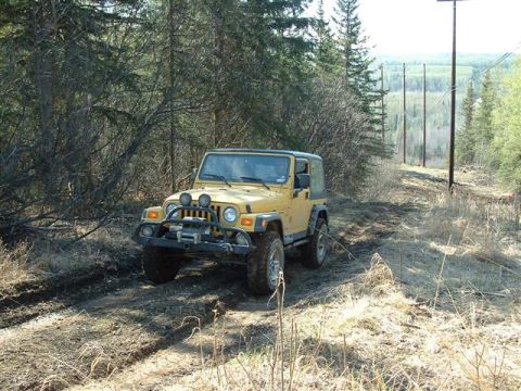 2000 Jeep TJ - Yellow 2000 Jeep TJ navigates a dirt track surrounded by trees and power lines.