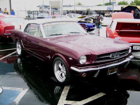 2002 Ford Mustang - A maroon 1965 Ford Mustang convertible, identified by its classic body style, is displayed with other vehicles in the rain.